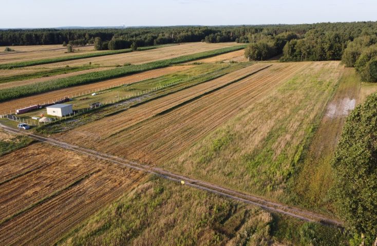 Na sprzedaż duże działki z warunkami zabudowy - Osiecza Pierwsza - Na sprzedaż  działka budowlana  : Osiecza Pierwsza