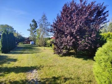 Sprzedam dom z bali na dużej działce w okolicy jeziora - Na sprzedaż  dom  : Brzeźniak