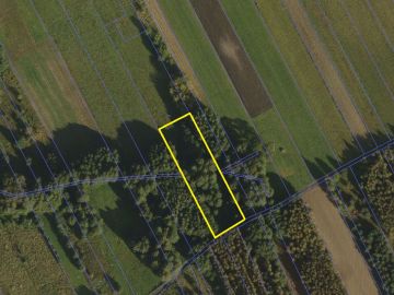 Na sprzedaż działka w okolicy lasów - Żychlin - Na sprzedaż  działka rolna  , działka budowlana : Żychlin
