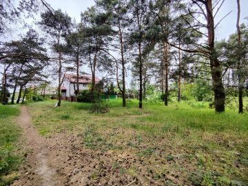 Na sprzedaż duża działka na osiedlu w lesie - Wilków - Na sprzedaż  działka budowlana  : Konin