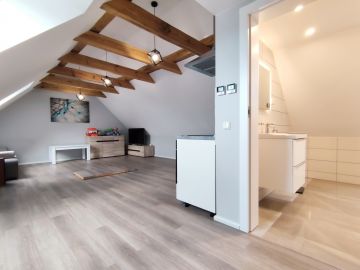 Nowoczesny dom, duża działka, dwustanowiskowy garaż, gm. Stare Miasto - Na sprzedaż  dom  : Janowice